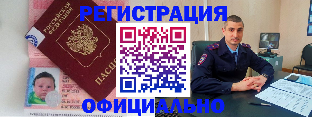 прописка поиск в Кингисеппе